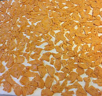 Evde tarhana yapımı