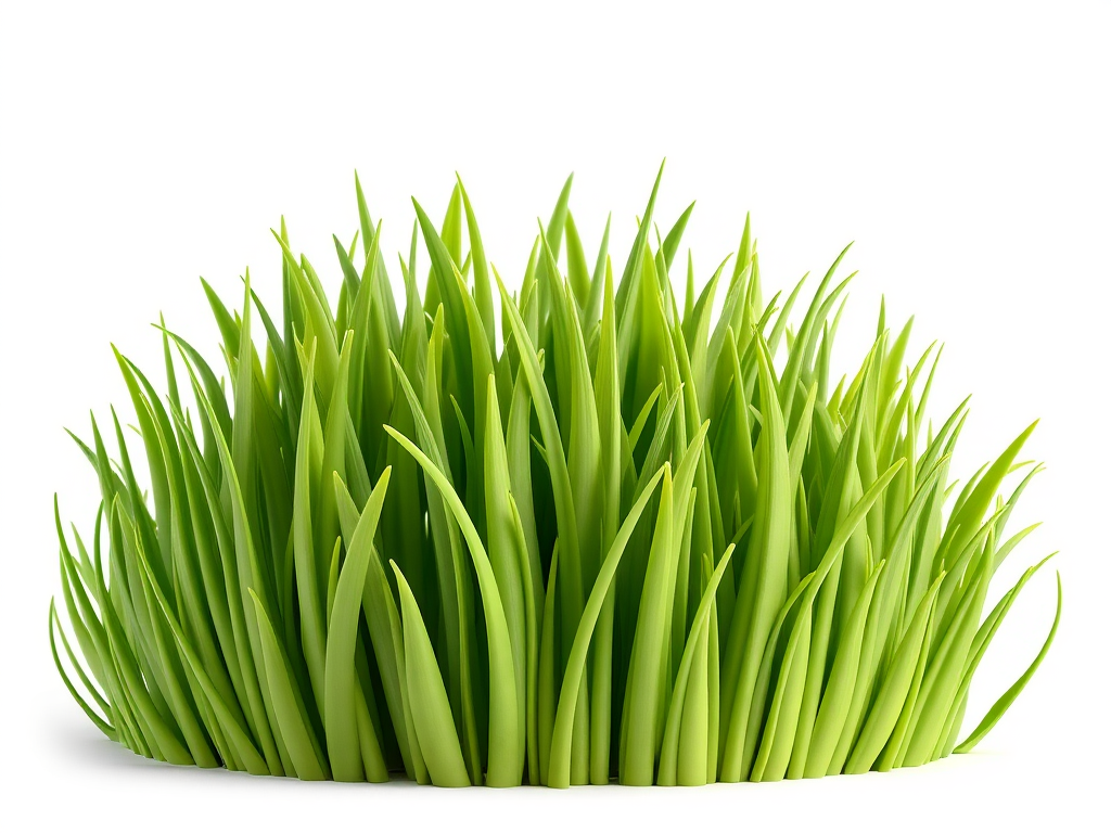 Japonca doğa isimleri